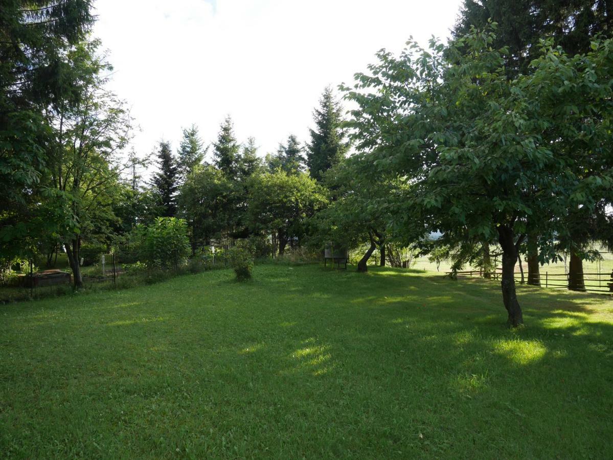 Willa Sofia House Abertamy Zewnętrze zdjęcie