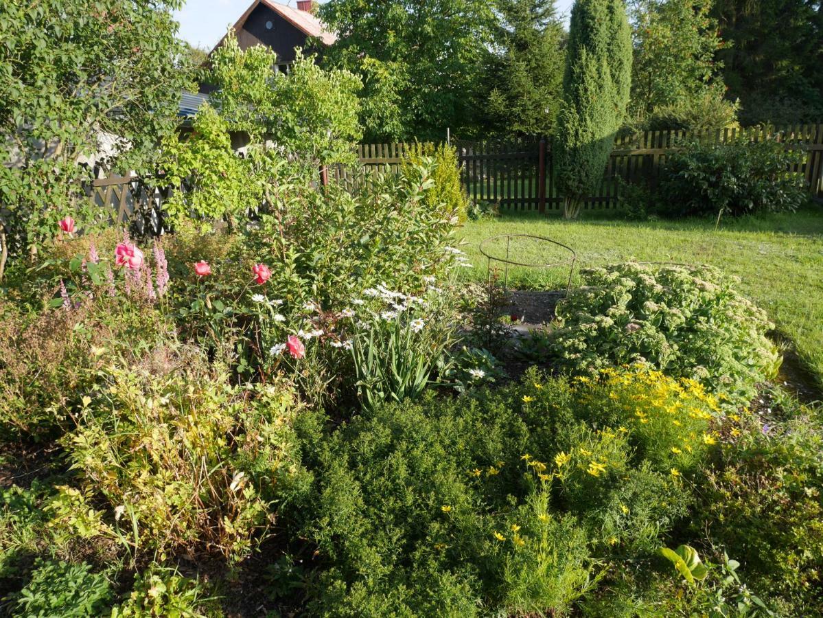 Willa Sofia House Abertamy Zewnętrze zdjęcie