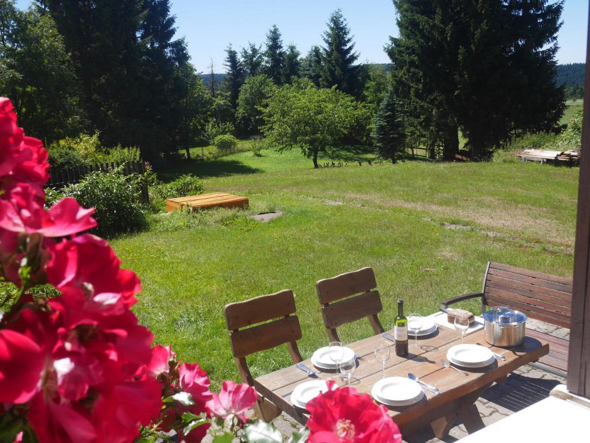 Willa Sofia House Abertamy Zewnętrze zdjęcie